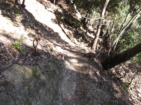 20170126hike (401)